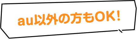 au以外の方もOK！