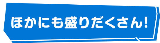 ほかにも盛りだくさん！