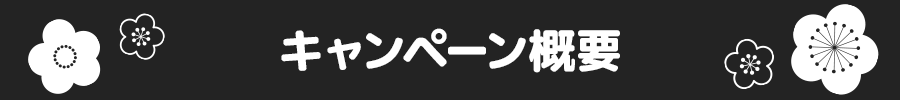 キャンペーン概要