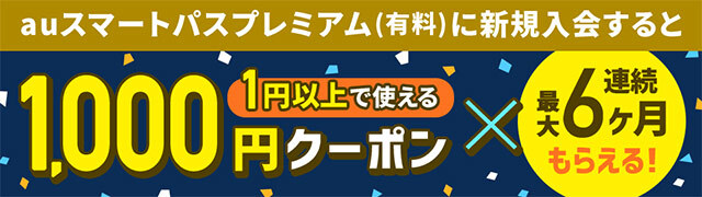 最大連続6ヶ月1,000円クーポン