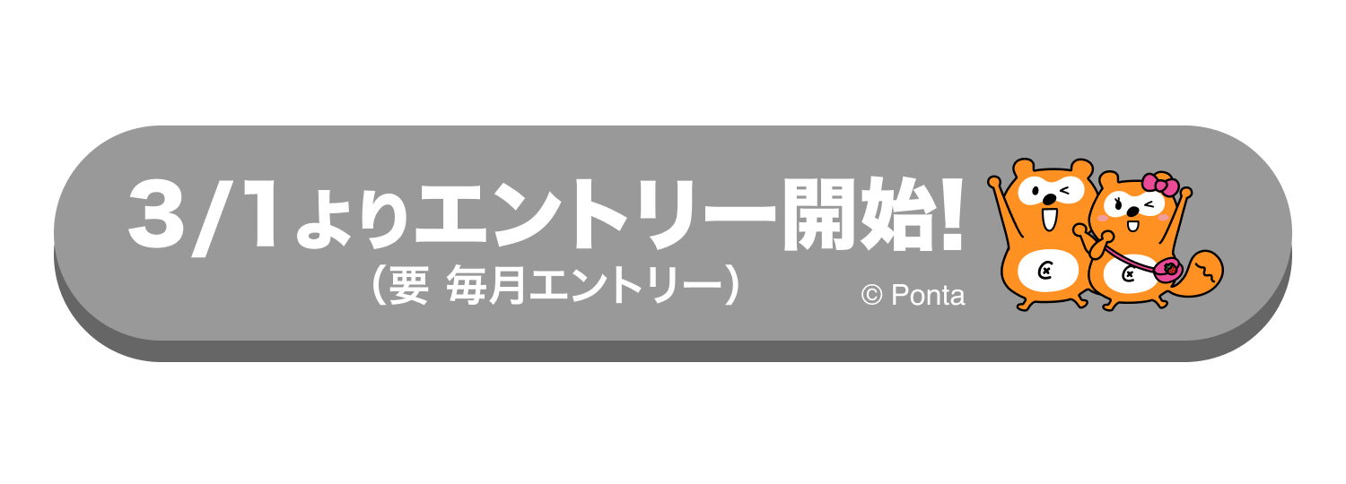 3/1エントリー開始