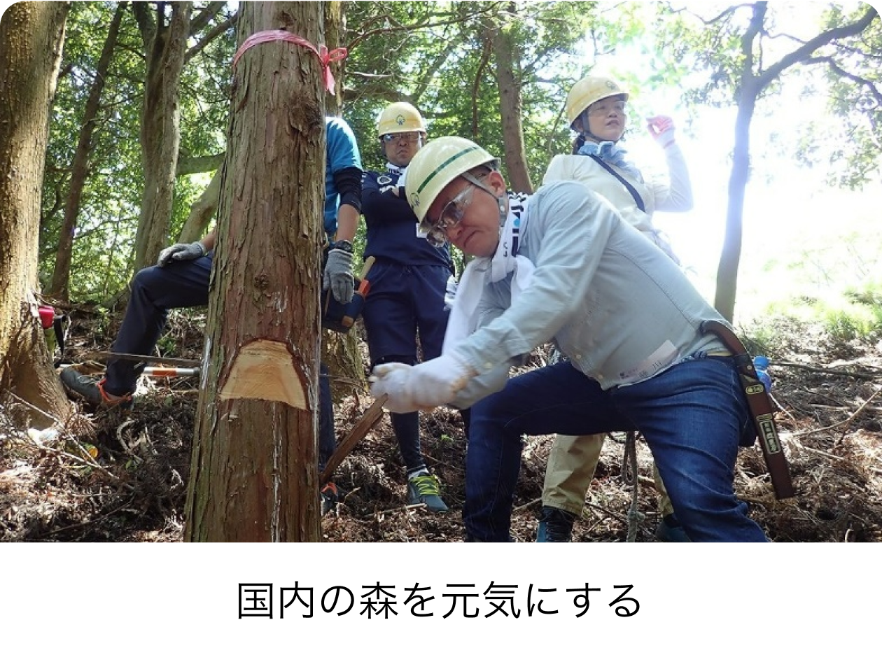国内の森を元気にする
