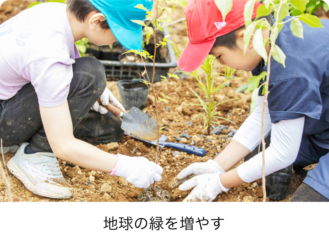 地球の緑を増やす