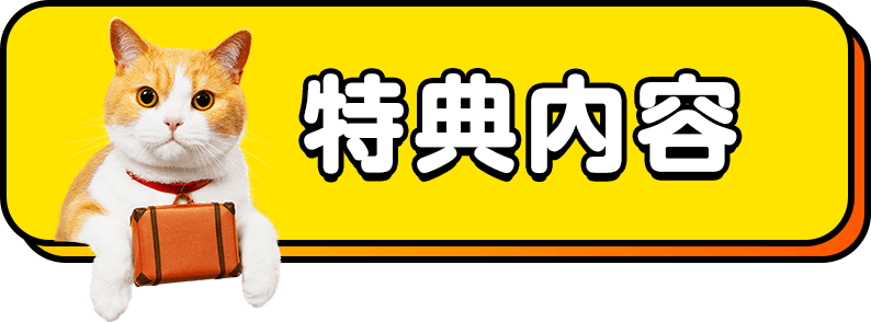 特典内容