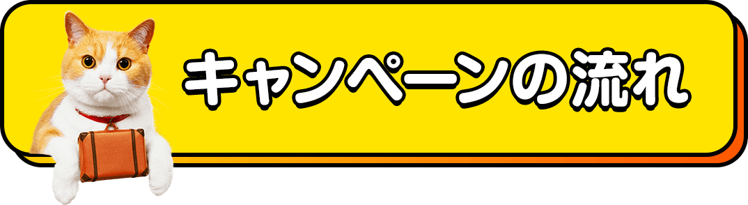 キャンペーンの流れ