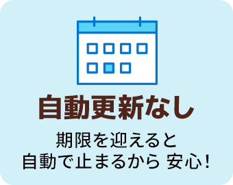 自動更新なし